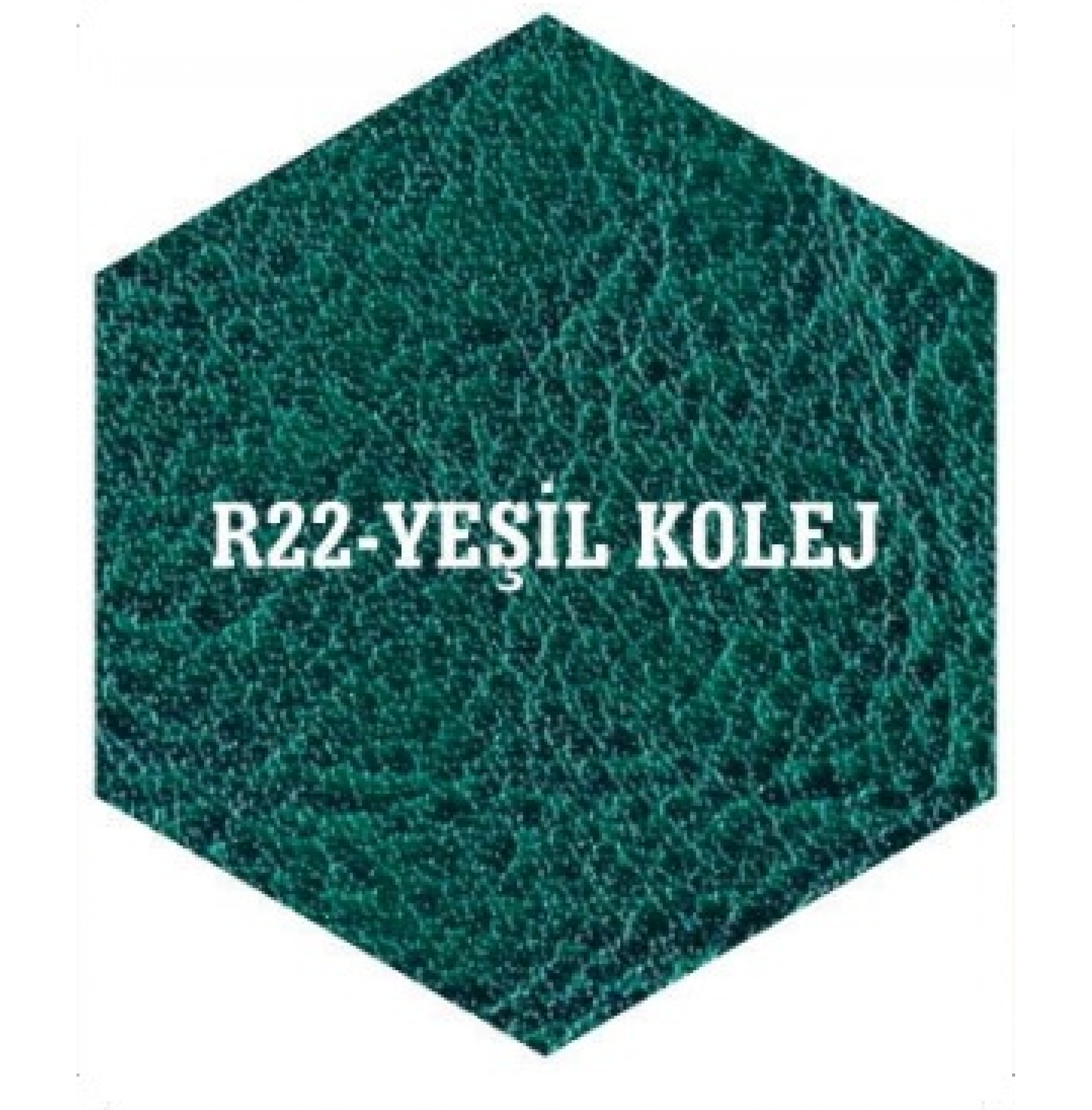 R22-YEŞİL KOLEJ